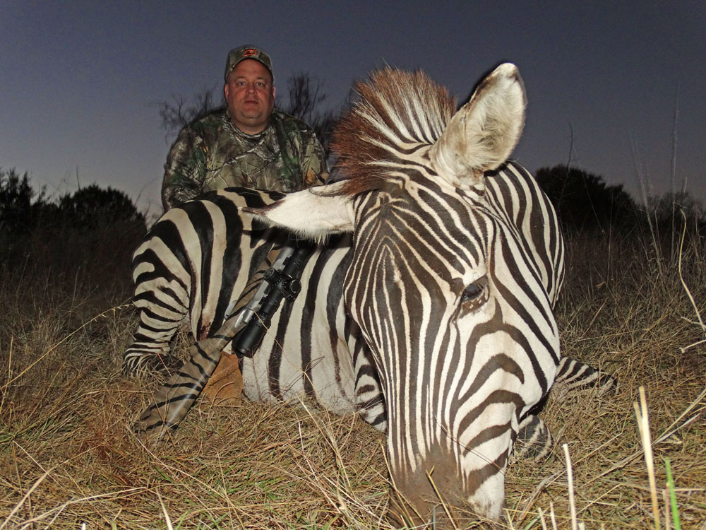 Grant's Zebra Hunts Star S Ranch