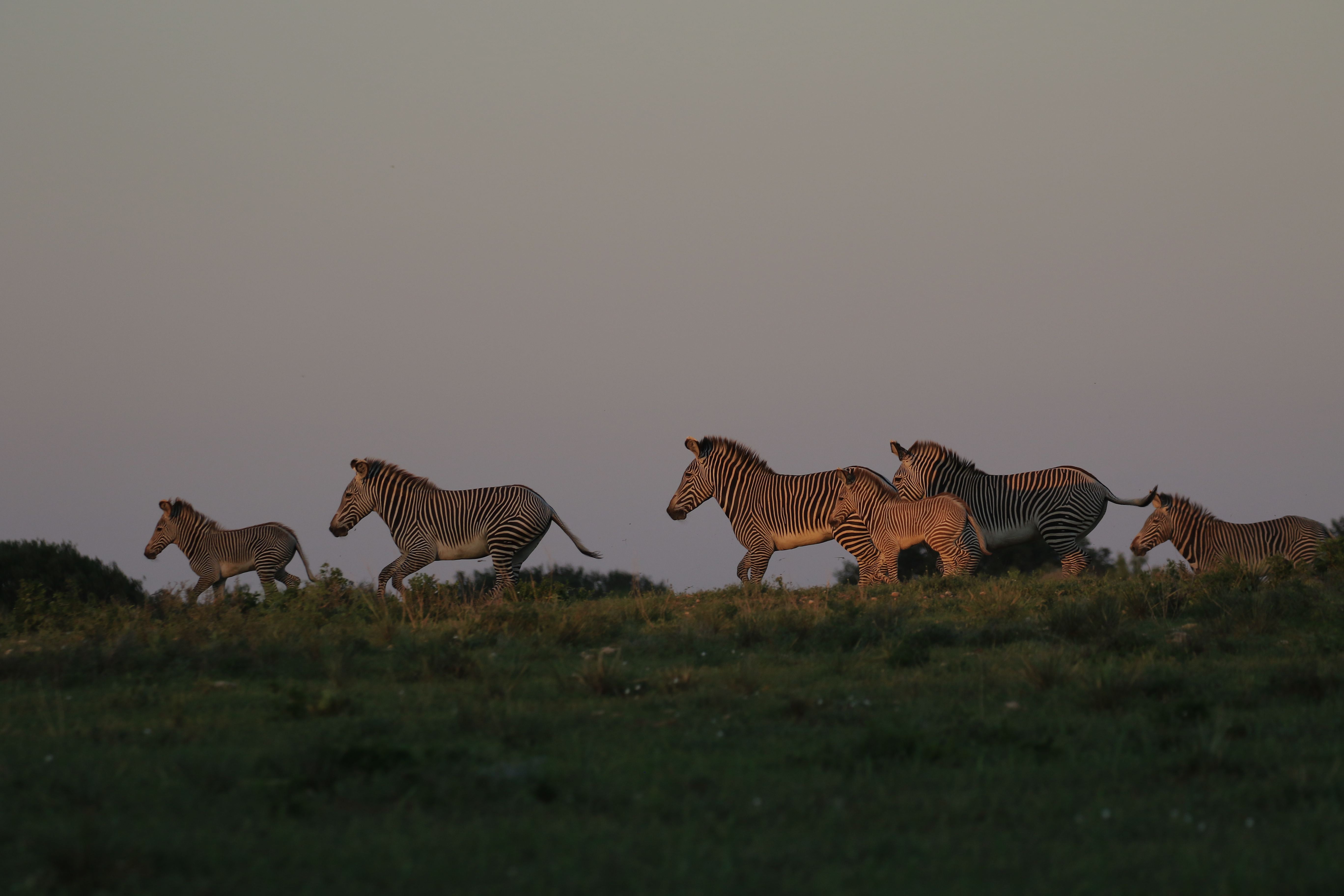 Star S Ranch — photo 1