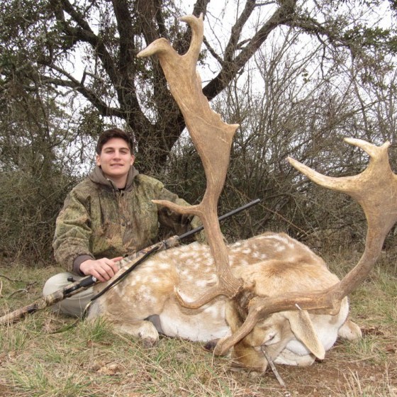 Fallow Deer Hunts