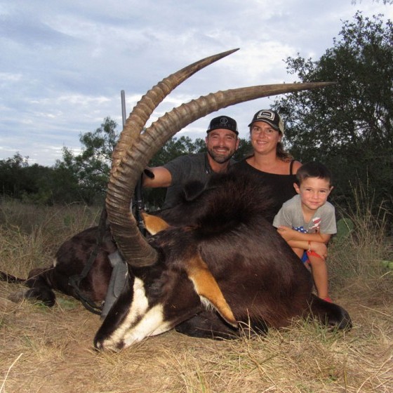 Sable Bull Hunts