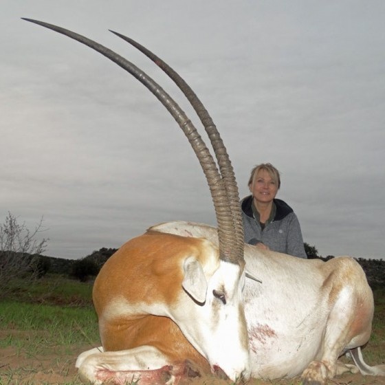 Scimitar Horned Oryx Hunts